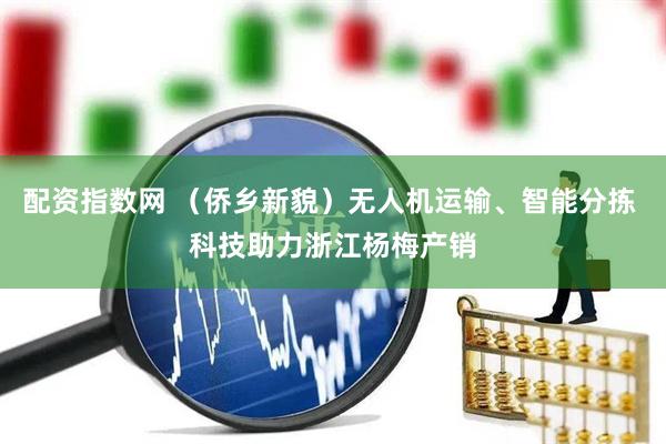 配资指数网 （侨乡新貌）无人机运输、智能分拣 科技助力浙江杨梅产销