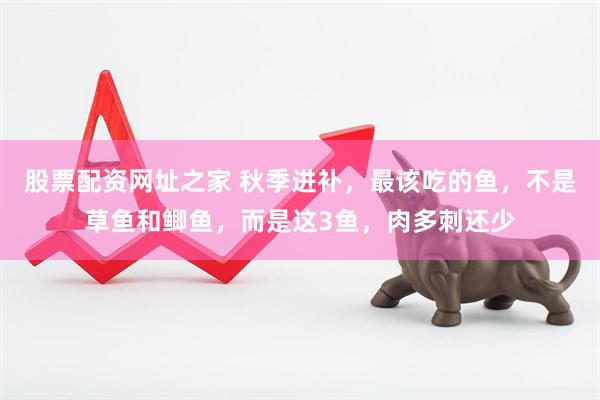 股票配资网址之家 秋季进补，最该吃的鱼，不是草鱼和鲫鱼，而是这3鱼，肉多刺还少